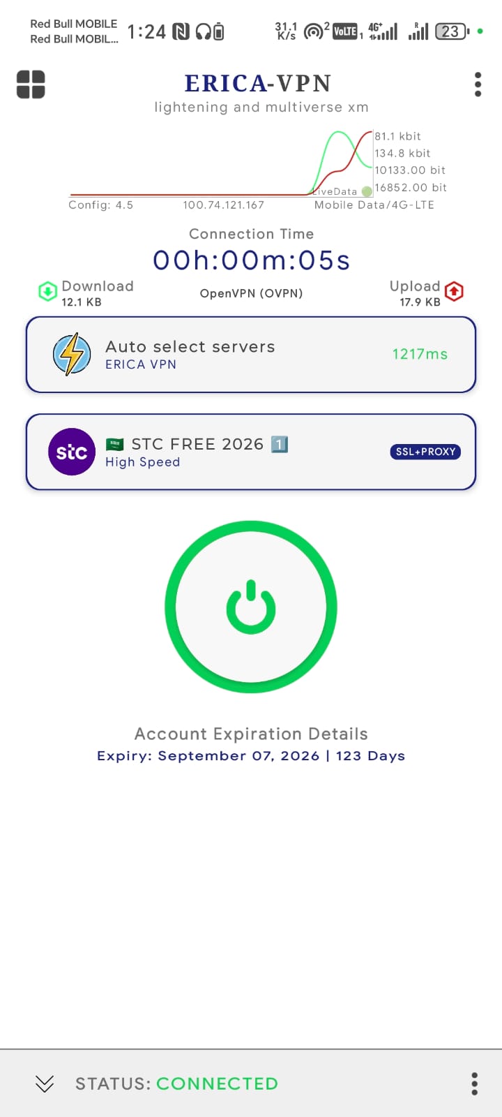 Erica VPN Screenshot 5